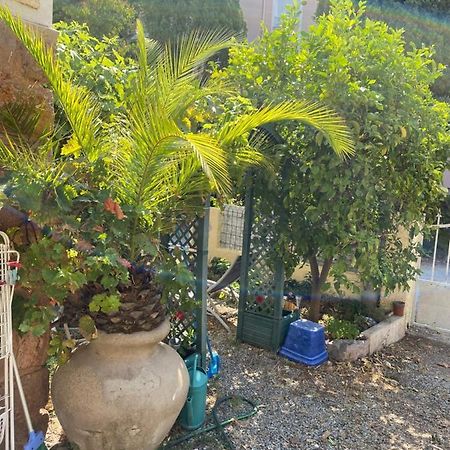 Jardin D'Eden Apartment Saint-Raphael  Luaran gambar